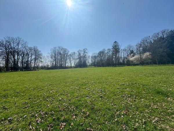 Vente Terrain 17497 m2 à Longeau-Percey