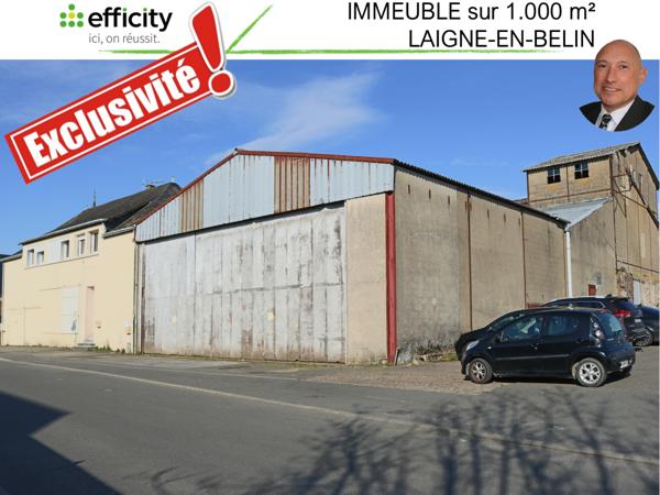 Immeuble - 1000 m² Exclusivité efficity