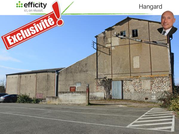 Immeuble - 1000 m² Exclusivité efficity