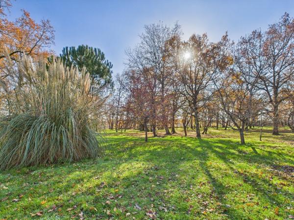 Magnifique demeure admirablement restaurée aux portes de Condom Condom