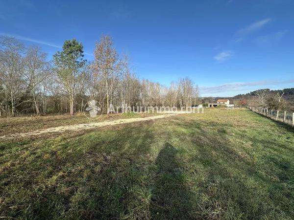 Vente Terrain 11520 m2 à Neuvic