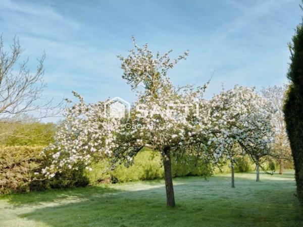 maison individuelle avec grand terrain arboré