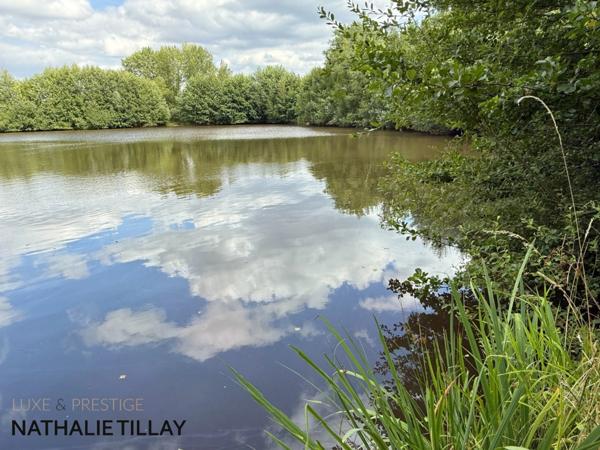 Plateau de Sologne, propriété d'agrément a vendre : Parc de 33 ha, piscine, tennis, biotope Solognot: bois, foret , prairies , étangs , petite chasse et peche. Proche Orleans,