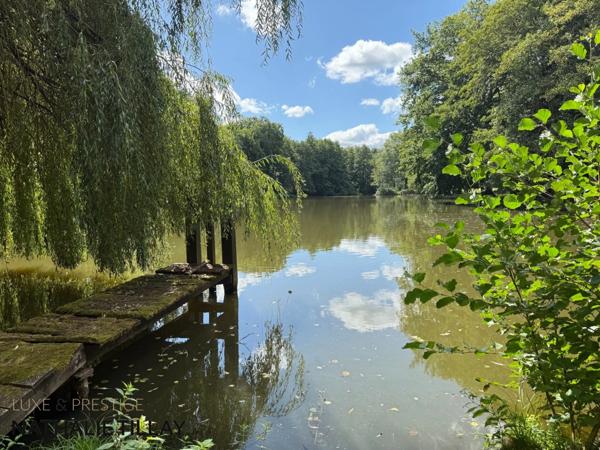 Plateau de Sologne, propriété d'agrément a vendre : Parc de 33 ha, piscine, tennis, biotope Solognot: bois, foret , prairies , étangs , petite chasse et peche. Proche Orleans,