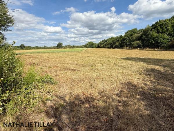 Plateau de Sologne, propriété d'agrément a vendre : Parc de 33 ha, piscine, tennis, biotope Solognot: bois, foret , prairies , étangs , petite chasse et peche. Proche Orleans,