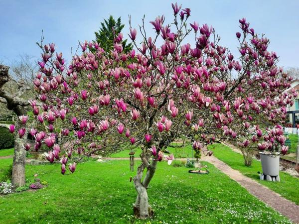 Maison 4 pièces - 121 m²