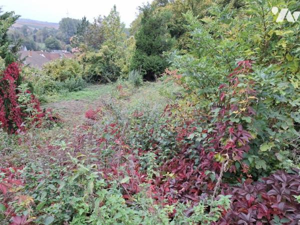 Plain-pied individuel, 4 chambres, sous-sol, jardin