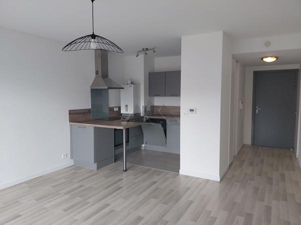 A LOUER BREST APPARTEMENT MOULIN BLANC VUE MER PARKING TERRASSE CELLIER
