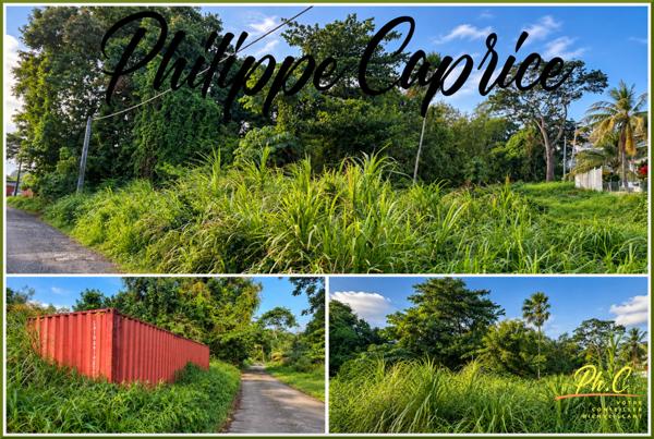 Terrain 2 370 m² – Dumaine – Le François – Zone U5