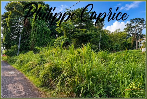 Terrain 2 370 m² – Dumaine – Le François – Zone U5