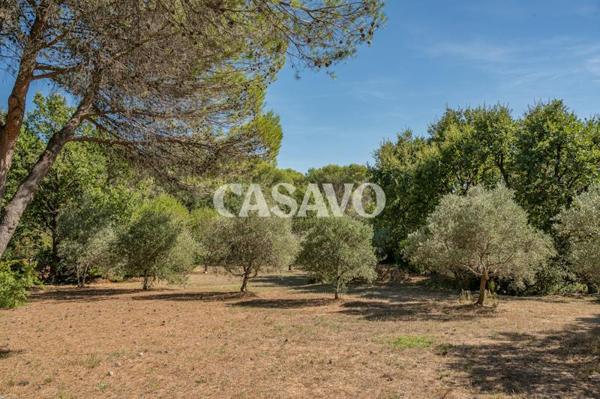 Vente Maison 5 pièces de 240m² - 13410 Lambesc