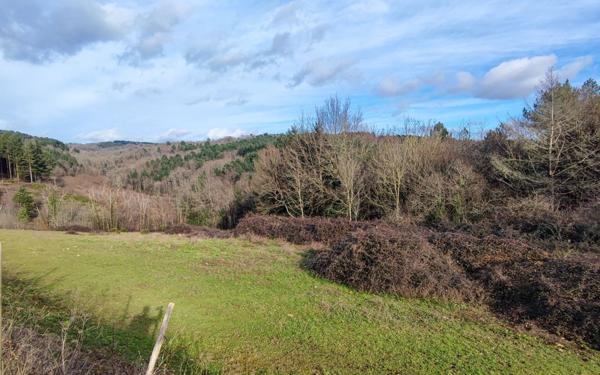 Terrain à vendre    Pont-de-Larn