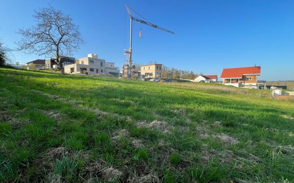 Terrain à vendre    Arbois