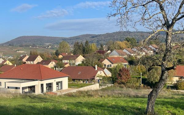 Terrain à vendre    Arbois