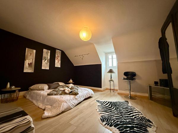 Maison Fraize 13 pièce(s) 330 m2