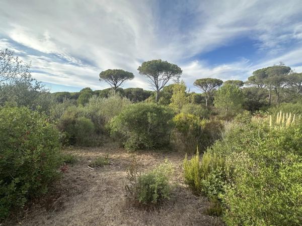 Immobilier Fréjus (83600) – Terrain constructible 575m2 – 225 000 €