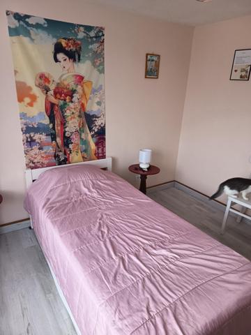 maison de ville avec du potentiel vous souhaitez refaire la décoration de la propriété vous allez etre ravie, dépendances, garage, grenier, buanderie de 20 m2