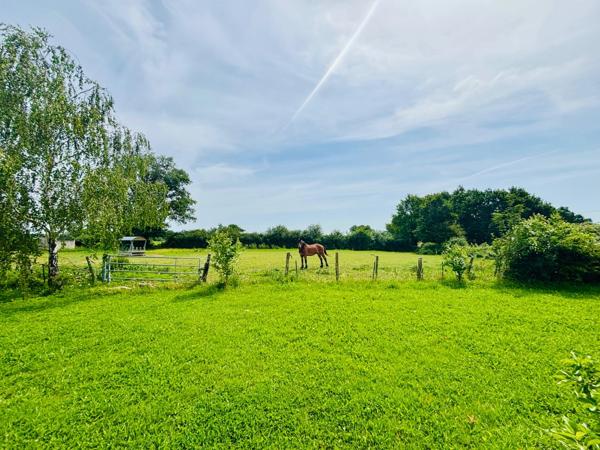 À VENDRE MAYENNE – Manoir d’exception du XIIIe siècle sur 3 hectares – Gîte ou demeure familiale de charme