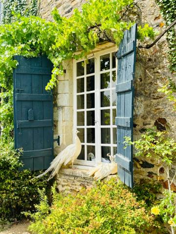 À VENDRE MAYENNE – Manoir d’exception du XIIIe siècle sur 3 hectares – Gîte ou demeure familiale de charme