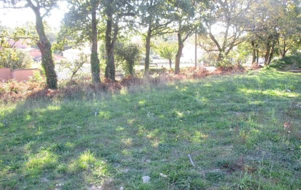 Vente Programme dès 89 900  Vaire   