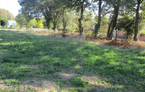 Vente Programme dès 89 900  Vaire   