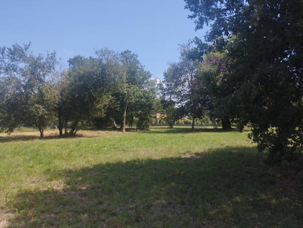 Terrain viabilisé 1574 m² - Proche Cazères - Cazeres (31220)