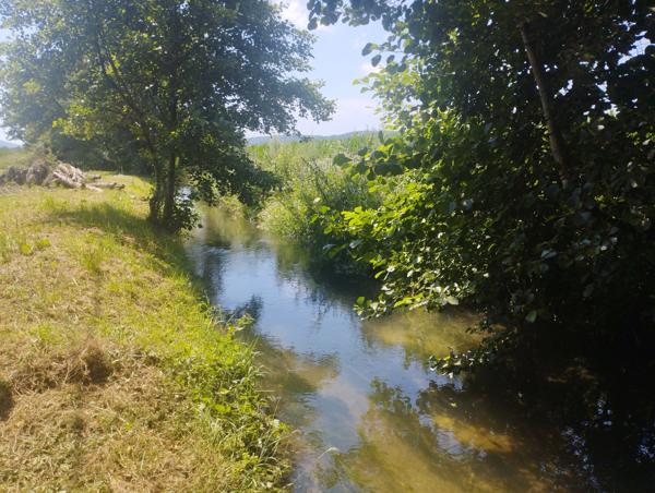 Terrain viabilisé 1574 m² - Proche Cazères - Cazeres (31220)