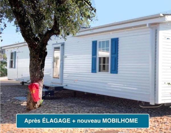 Vente / Maison à Le Muy (83490)