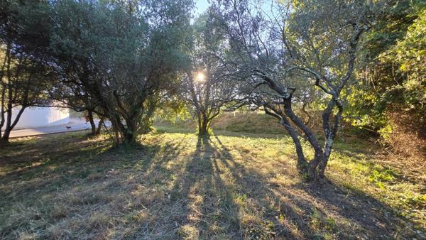 Terrain à vendre - viabilisé - 401 m2 - Castries (34)