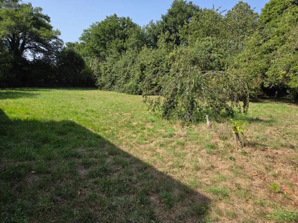 Achat - Terrain à bâtir Mayenne 53100 2066 m 2