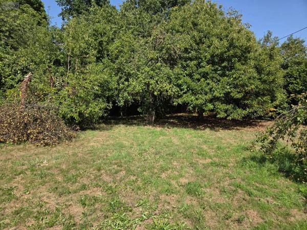 Achat - Terrain à bâtir Mayenne 53100 2066 m 2