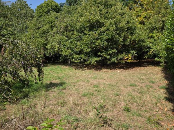 Achat - Terrain à bâtir Mayenne 53100 2066 m 2