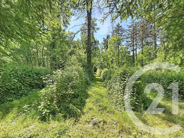 Maison à vendre  5 pièces - 112 m 2   LA FERTE ST AUBIN  - 45