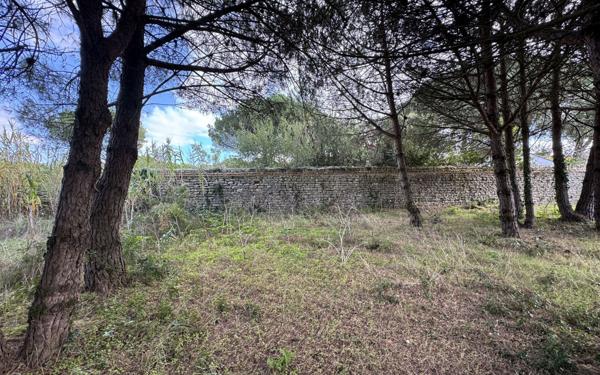 Terrain à vendre    La Flotte