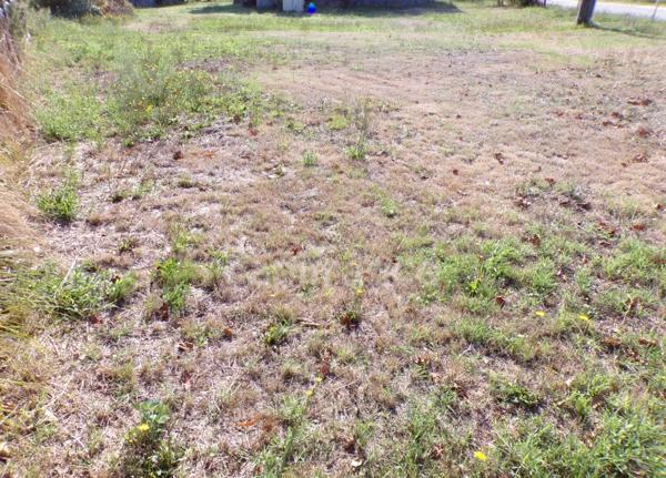 Terrain à vendre de 730,00 m² LE TEICH (33)