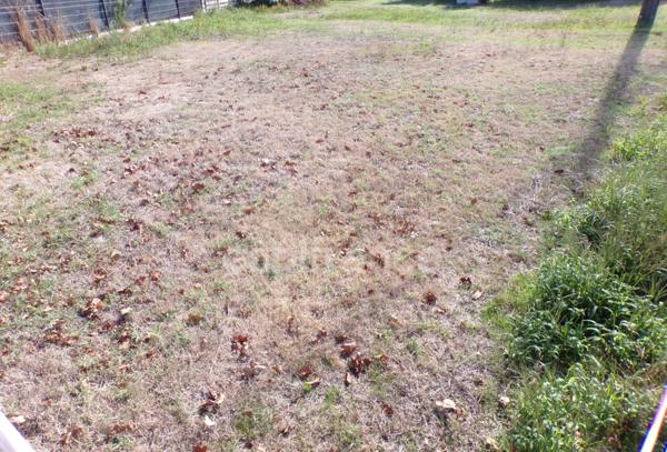 Terrain à vendre de 730,00 m² LE TEICH (33)