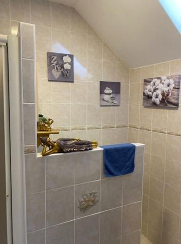 ANCIEN MOULIN À VENDRE PROCHE DE SAINT AIGNAN