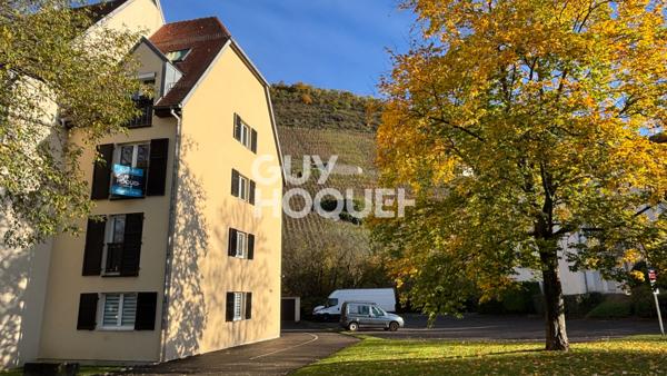 À louer : Charmant appartement de 2 pièces à Thann