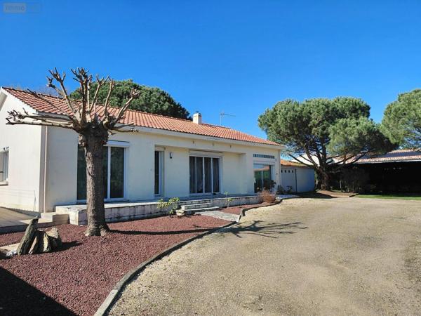 Maison individuelle à vendre à Challans en Vendée (85300), ref : VM5648-85092