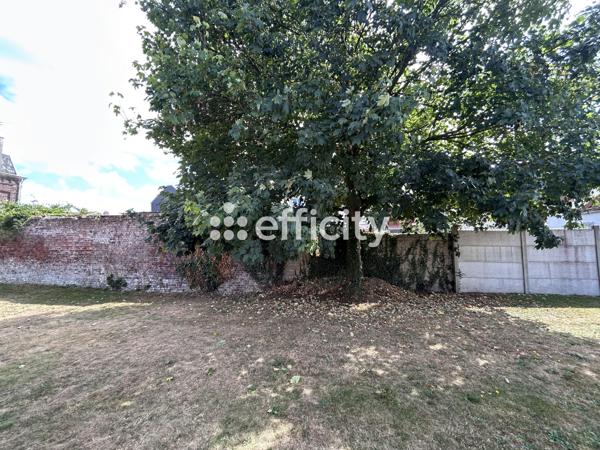 Appartement 3 pièces - 47 m² Exclusivité efficity