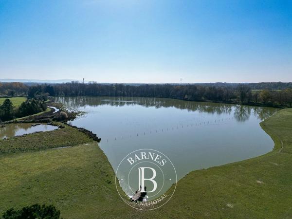 Villars-les-Dombes, Domaine équestre 7 Chambres -  500 m² à vendre
