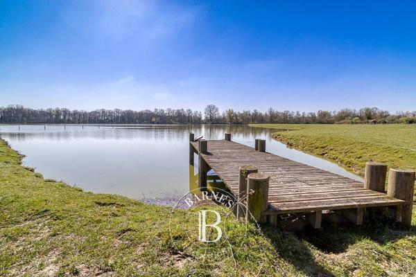 Villars-les-Dombes, Domaine équestre 7 Chambres -  500 m² à vendre
