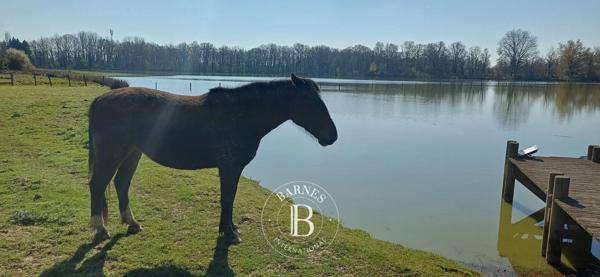 Villars-les-Dombes, Domaine équestre 7 Chambres -  500 m² à vendre