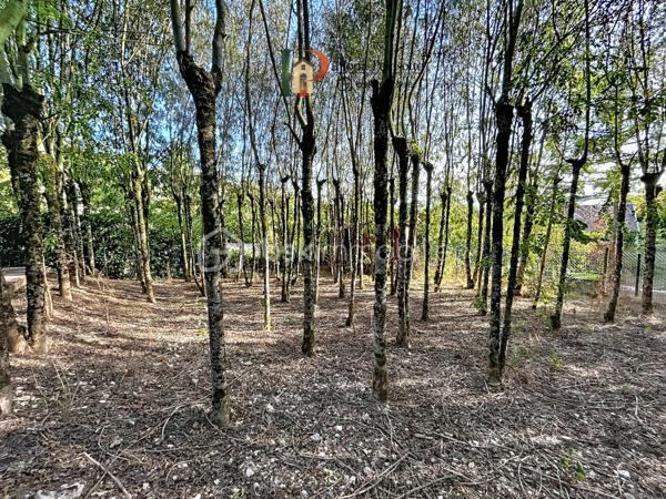 À seulement 5 minutes de Vermenton, découvrez cette maison d’environ 63 m² habitables qui ne ressemble pas aux autres, dans un cadre qui invite à ralentir et à se ressourcer grâce à une sensation de vie en pleine forêt, avec une atmosphère paisible et hors du temps.

La maison se compose d’une belle pièce de vie avec coin cuisine aménagée et espace salle d’eau avec WC, ainsi que d’une mezzanine d’environ 26 m² au sol. Elle dispose de trois vérandas, dont deux chauffées d’environ 15 m², qui offrent des espaces de vie supplémentaires permettant de profiter pleinement de cet environnement exceptionnel quelle que soit la saison.

À l’extérieur, le terrain d’environ 2 950 m², entièrement clos et largement arboré, prolonge cette impression de déconnexion et de tranquillité. La propriété dispose également de plusieurs cabanons/abris, offrant différentes possibilités selon les projets.

La maison est équipée de chauffages électriques avec la possibilité d’installer un poêle à bois pour chauffer l’ensemble du logement. Les menuiseries sont en bois double vitrage. L’assainissement est individuel. 

Un bien qui s’adresse à ceux qui recherchent un lieu différent, une résidence secondaire atypique, un pied-à-terre au vert ou encore un projet de location saisonnière.