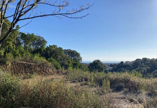 Vente Terrain 2499 m2 à Penta-Di-Casinca