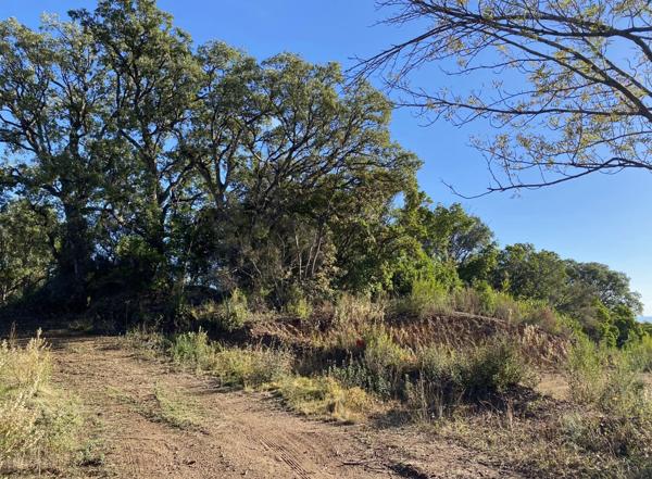 Vente Terrain 2499 m2 à Penta-Di-Casinca