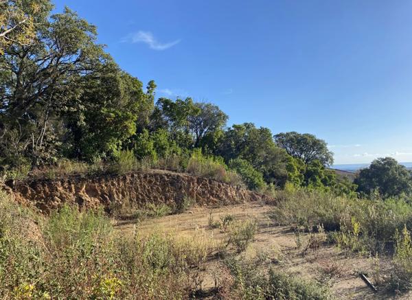 Vente Terrain 2499 m2 à Penta-Di-Casinca