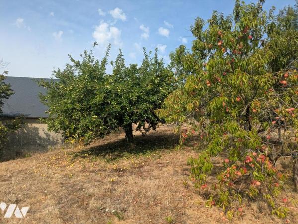 VENTE MAISON INDIVIDUELLE - SAINTE MAURE DE TOURAINE