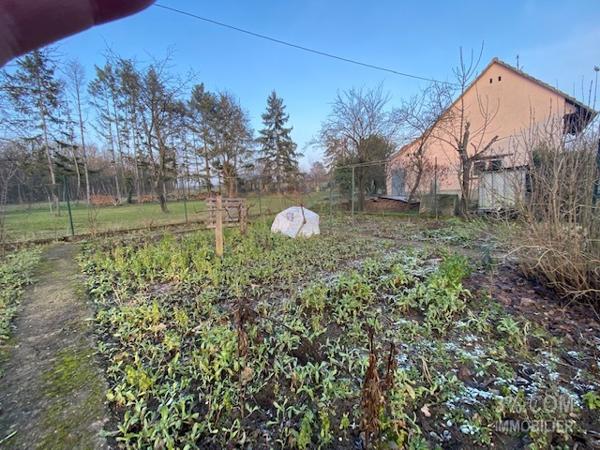 3%.COM Maison à rénover avec jardin sur terrain de 4.85 ares Gougenheim (67270)