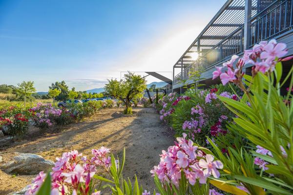 Lecci (20137) Résidence haut de gamme en Corse du Sud – Vente en bloc d’un domaine d’exception avec conciergerie et piscines